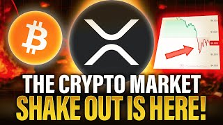 WARNING XRP Holders The SHAKE OUT Is Here  Huge News Update [upl. by Verine]