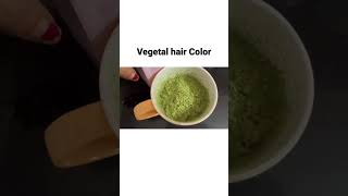 Vegetal hair Color first try vegetal softblack natural organic noppd ppdfree [upl. by Letnahc430]