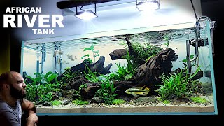 The African River Aquarium EPIC Aquascape Tutorial w Kribensis Cichlid amp Congo Tetra [upl. by Yodlem423]