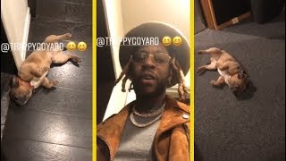 2 Chainz Shows His Dog quotTrappyquot Playing Dead [upl. by Sulihpoeht620]