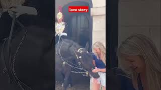 Lovely momentshorse buckinghampalace royalhorseguard tourist horseguard [upl. by Yodlem626]