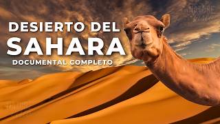 El Mundo Salvaje Los Desiertos  Free Documentary Nature  Español [upl. by Yecam]