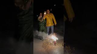 Diwali 2024 🪔 diwalispecial diwalispecialwhatsappstatus [upl. by Gerianne]