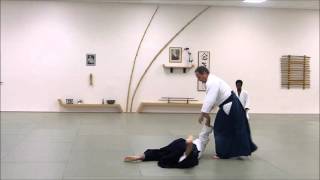 Aikido Florida Aikikai Peter Bernath Sensei—Ryotatori Nikkyo 4 Variations [upl. by Luas]