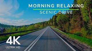 Morning Relaxing Ambience Scenic Drive Through Southern Poland [upl. by Hyland]