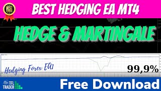 Hedging EA MT4 Free Download  Hedging Forex EA1 [upl. by Othella764]