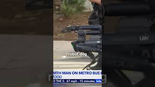 LAPD Robot Dog VS Bus Standoff Situation KTLA5 [upl. by Naresh]