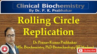 Rolling Circle Replication [upl. by Giselbert]