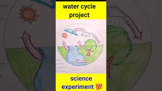 Water Cycle Project  Science experiment watercycle scienceproject Science shorts vairl [upl. by Keslie70]