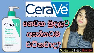 CeraVe VS Cetaphil  Foaming Facial Cleanser IN DEPTH BREAKDOWN [upl. by Magen]