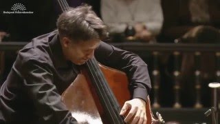 Zsolt Fejérvári plays Vanhals Bass Concerto [upl. by Adaval]