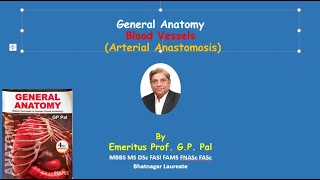 Precapillary arterial anastomosis [upl. by Henn461]