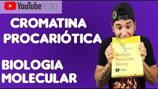 AULA 1 Cromatina Procariótica  Biologia Molecular [upl. by Scrivens100]