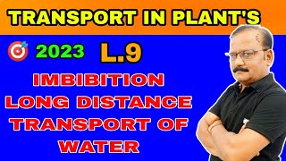 Imbibation Long Distance Transport of Water  apoplast symplast pathway by RahulTrivedi [upl. by Ahsikram]