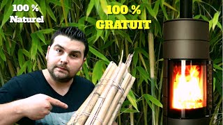 Le BAMBOU  bois de chauffage alternatif 100  gratuit [upl. by Enirak]