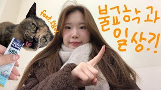 동국대 불교학과 편입생의 하루🧡 feat 동대냥이 소심이 [upl. by Nylave]