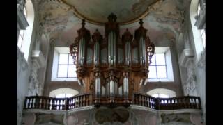 JSBach Toccata und Fuge dmoll BWV 565 [upl. by Rbma]