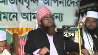 Maulana Jubaer Ahmed Ansari Bangla waz 2014 [upl. by Aixela306]