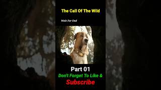 The Call Of The Wild Movie Explained In Hindi Urdu  Part 01youtubeshorts shorts [upl. by Sisak]