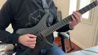 Guitar cover  Plini  Selenium Forest intro  main riff [upl. by Paget]