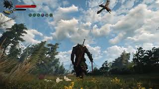 Witcher 3 Geralt Skellige Combat Modded Gameplay [upl. by Alyekahs]