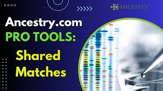 Ancestrycom PRO TOOLS  Shared Matches [upl. by Aisatna]