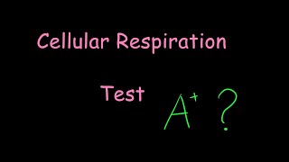 Cellular Respiration Test glycolysis Krebs cycle ETC quiz [upl. by Petersen714]