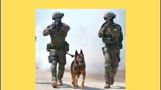 Oketz Special ForcesGaza Interview and footage Canine [upl. by Spring282]