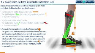 EN The Right Orthosis in case of a Combined Weakness of the Dorsiflexors and Plantar Flexors 24 [upl. by Annaliese]