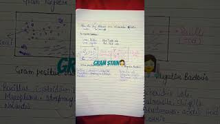 DMLT ❤ Gram stain notes 📝👩‍🔬👩‍🔬for more videos like ampsubscribe 🥰 [upl. by Massie860]