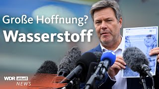 Energiewende Bundesregierung will Produktion von Wasserstoff verdoppeln  Aktuelle Stunde [upl. by Easter]