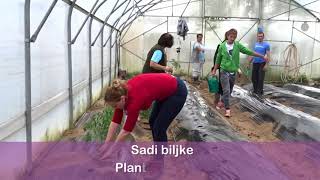 Plastenik u 4 minute obrazovanje za početnike Greenhouse in 4 minutes Great [upl. by Pickard]