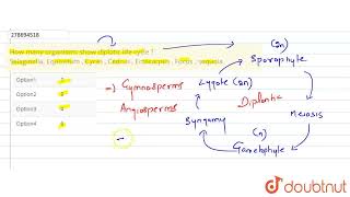 How many organisms show diplotic life cycle Selaginella Equisetum  Cycas  Cedrus  Ectocarpu [upl. by Atimad]