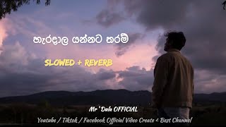 Haradala Yannata Tharam  slowed  reverb  Full Song [upl. by Sager]