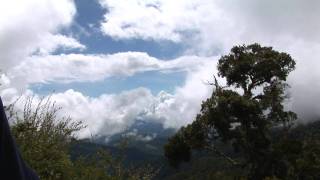 LA AMISTAD NATIONAL PARK  PanamaCosta Rica [upl. by Aineval]