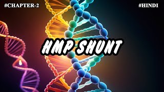 Chapter 2  Metabolism Of Carbohydrates Part11  HMP Shunt [upl. by Anileh]