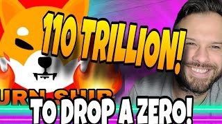 Shiba Inu Coin  110 Trillion SHIB Get Ready [upl. by Seiter]