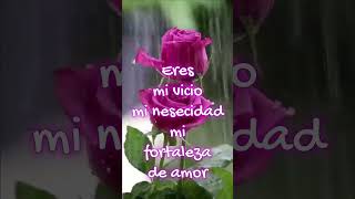 Palabras de amor y romance💝 para tiversos bonitos y cortos para dedicar💞💞amor [upl. by Cannice868]