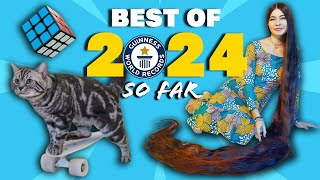 BEST WORLD RECORDS of 2024 so far  Guinness World Records [upl. by Ayekin]