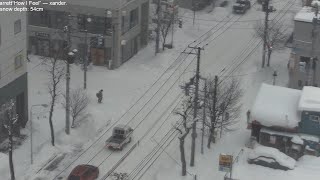 Heavy snowfall in Sapporo lofi radio 12 hours  January 15 2024 [upl. by Sesom]