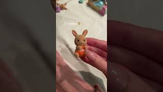 micro mini sylvanian families sylvanianfamily toys trend fy [upl. by Favata960]