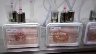 Modules in Their Bioreactor [upl. by Gerc]