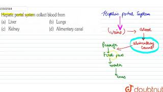 Hepatic portal system collect blood from [upl. by Kulseth]