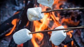 Smores en Fogata Año Nuevo LA COCINA DE MARITZA [upl. by Eniamraj445]