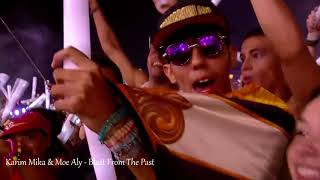 Afrojack  Tomorrowland Brazil 2016 Drops Only [upl. by Nuj]