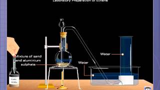 Ethene [upl. by Ecadnac]