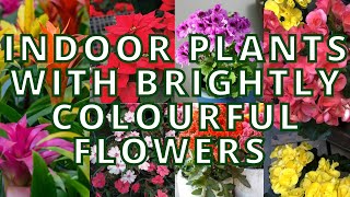 15 Best Indoor Plants that gives beautiful Flowers too  Indoor plants that bloom [upl. by Nitfa]