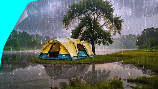 Heavy rain strong wind camping by the water relaxing deep sleep ASMR [upl. by Dronel]