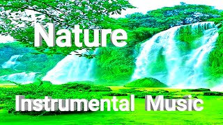 nonstop ethiopian classical instrumental music 🍀 የማያቋርጥ ክላሲካል🌿 [upl. by Annaoi]