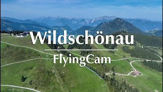 Webcam Wildschönau – Wunderbare Tiroler Bergwelt [upl. by Adyht]